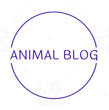 Animal Blog