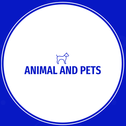 Animal and Pets