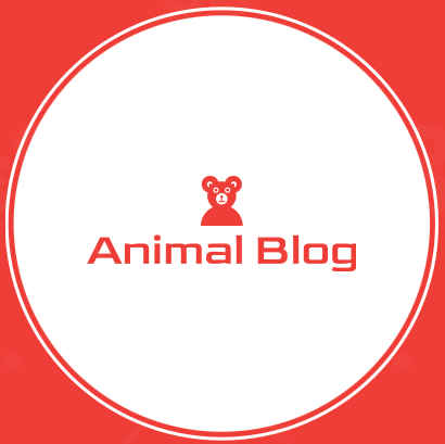 Animal Blog