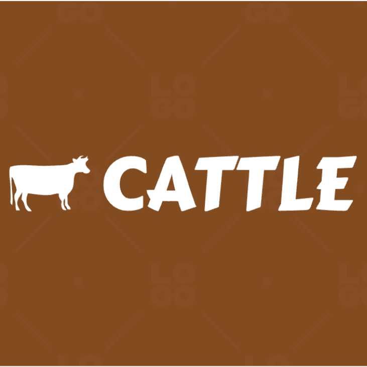 Cattle