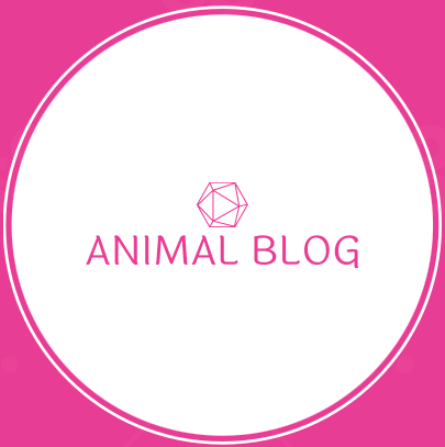 Animal Blog