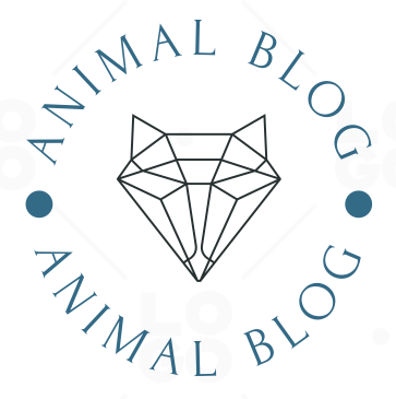 Animal Blog