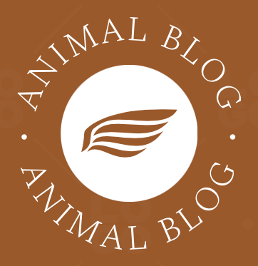 Animal Blog