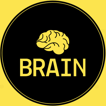 Brain