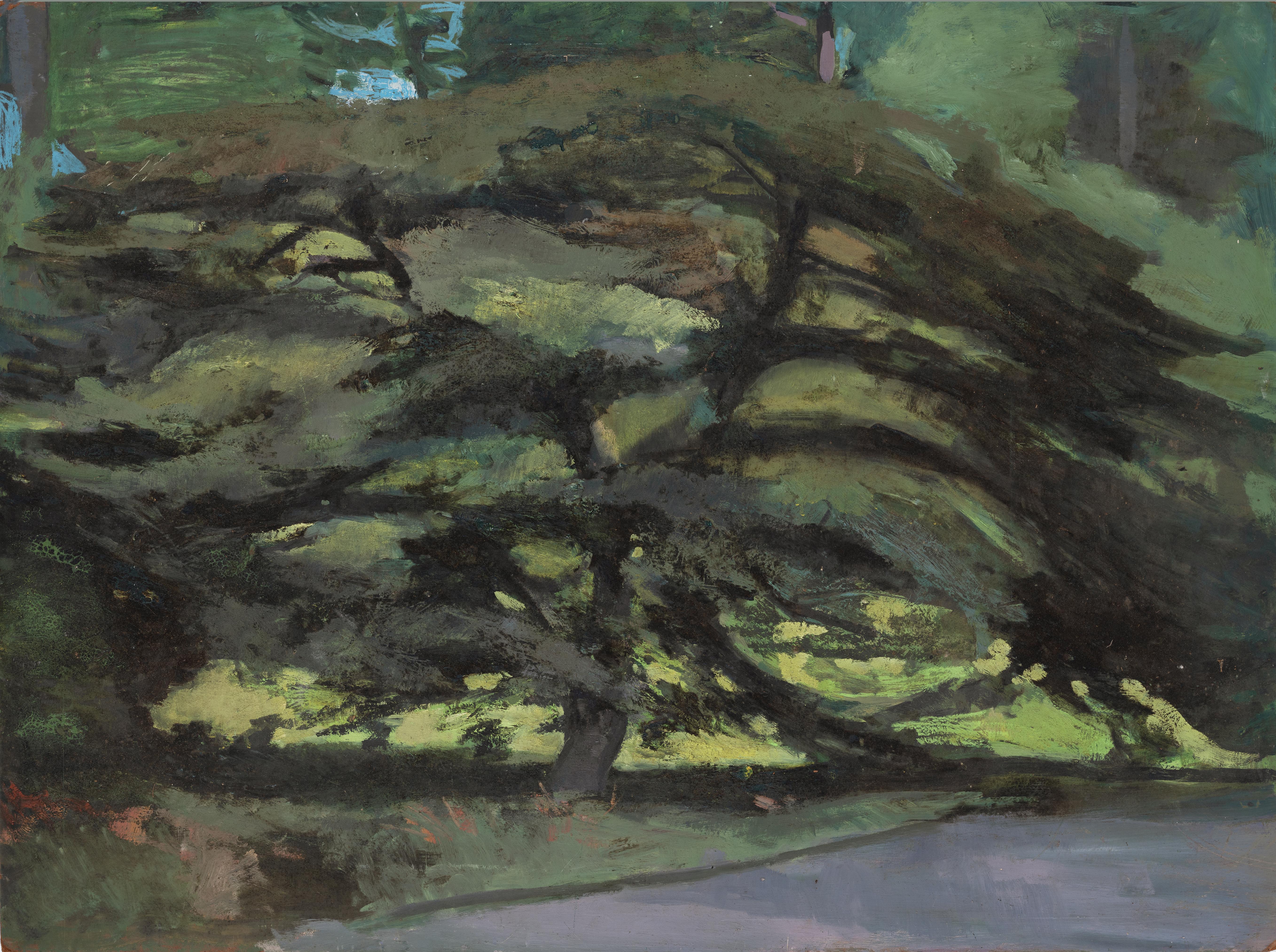 Trees, Glencoe