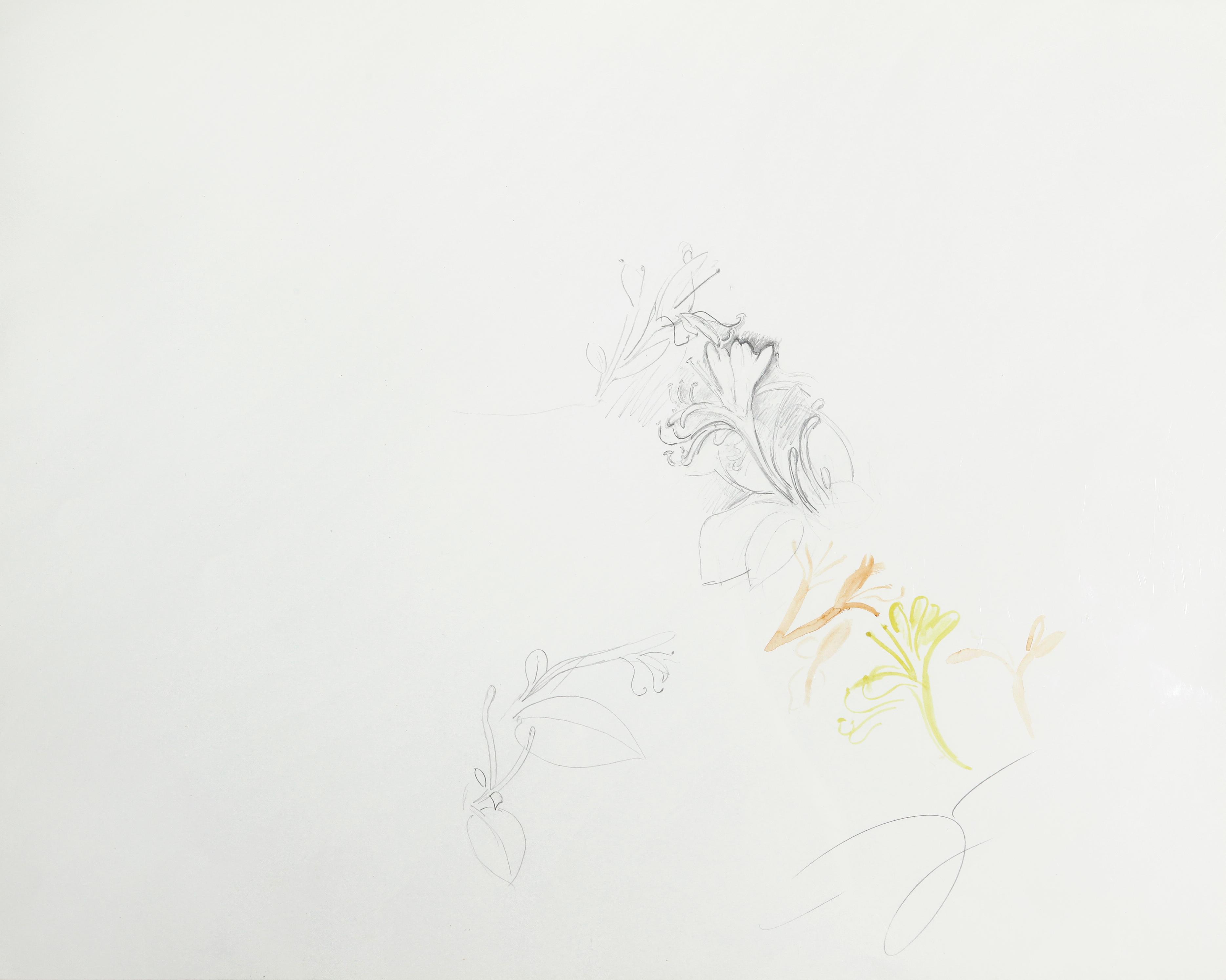 Floral Series
