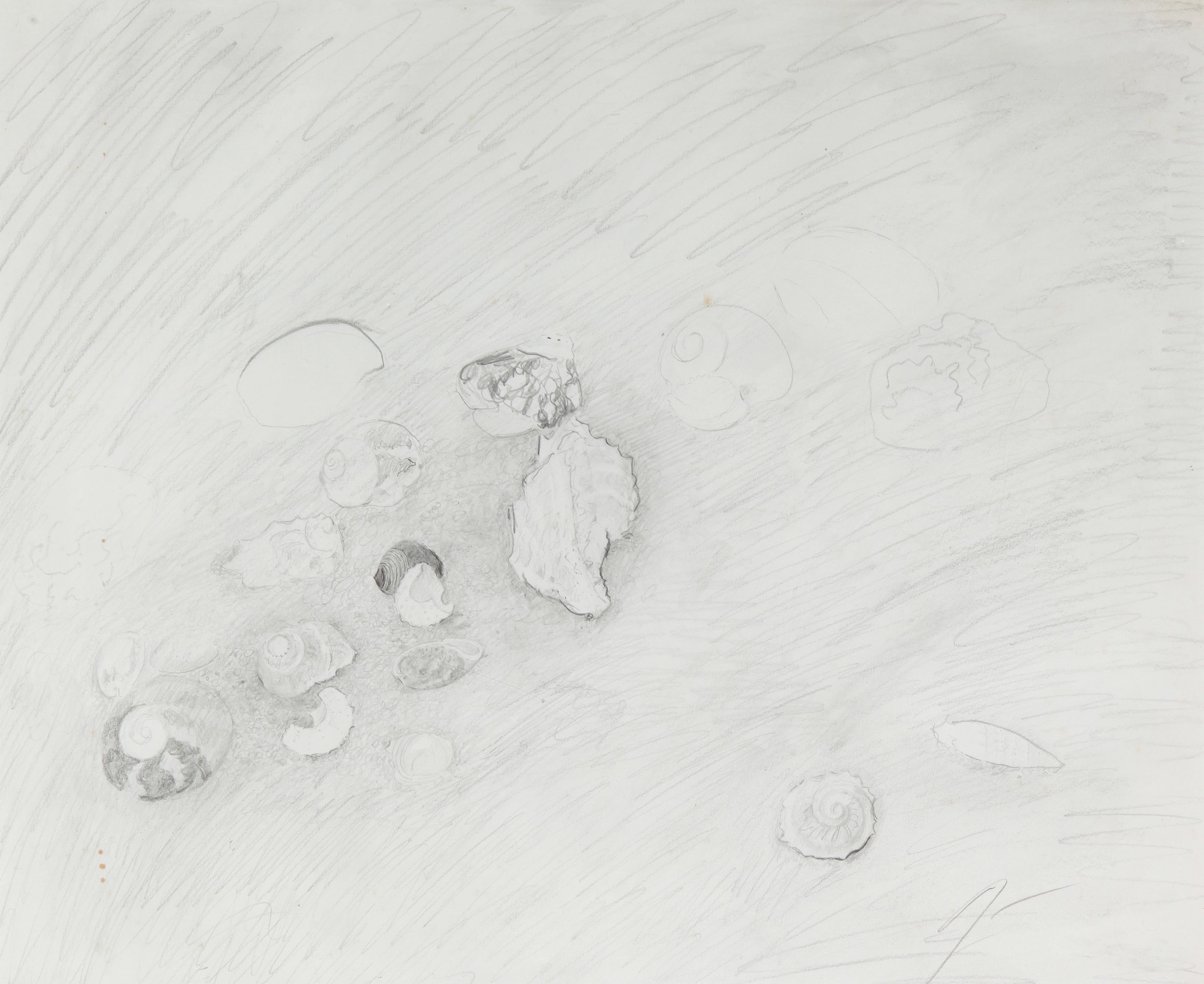 Shells