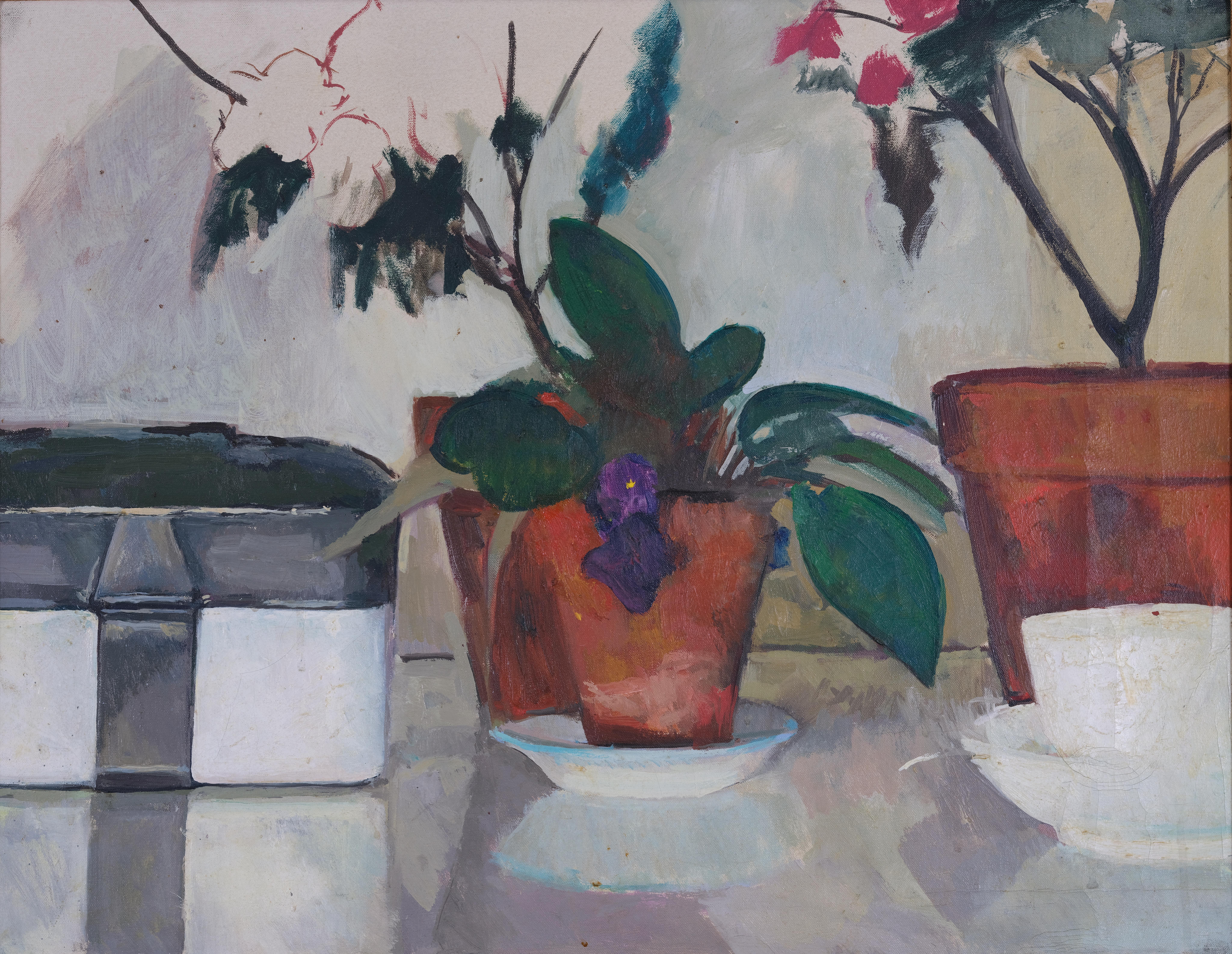 Glencoe Still Life