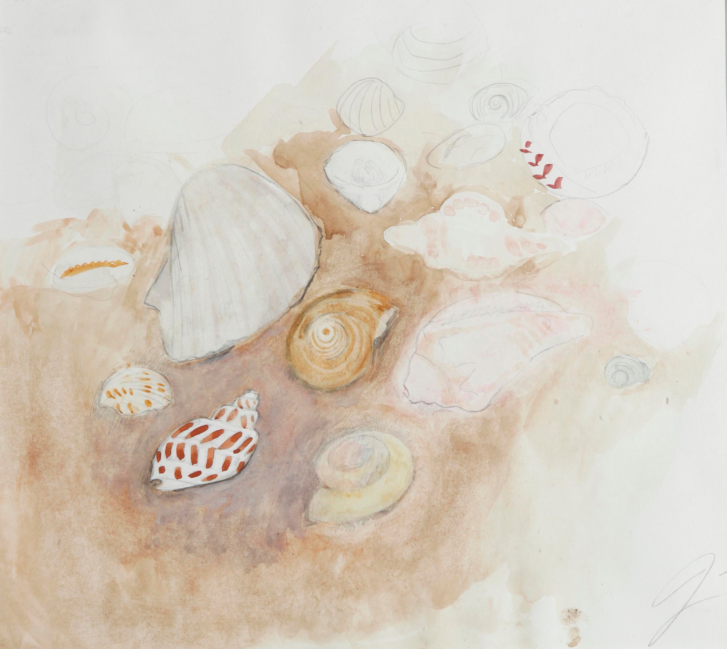Shells