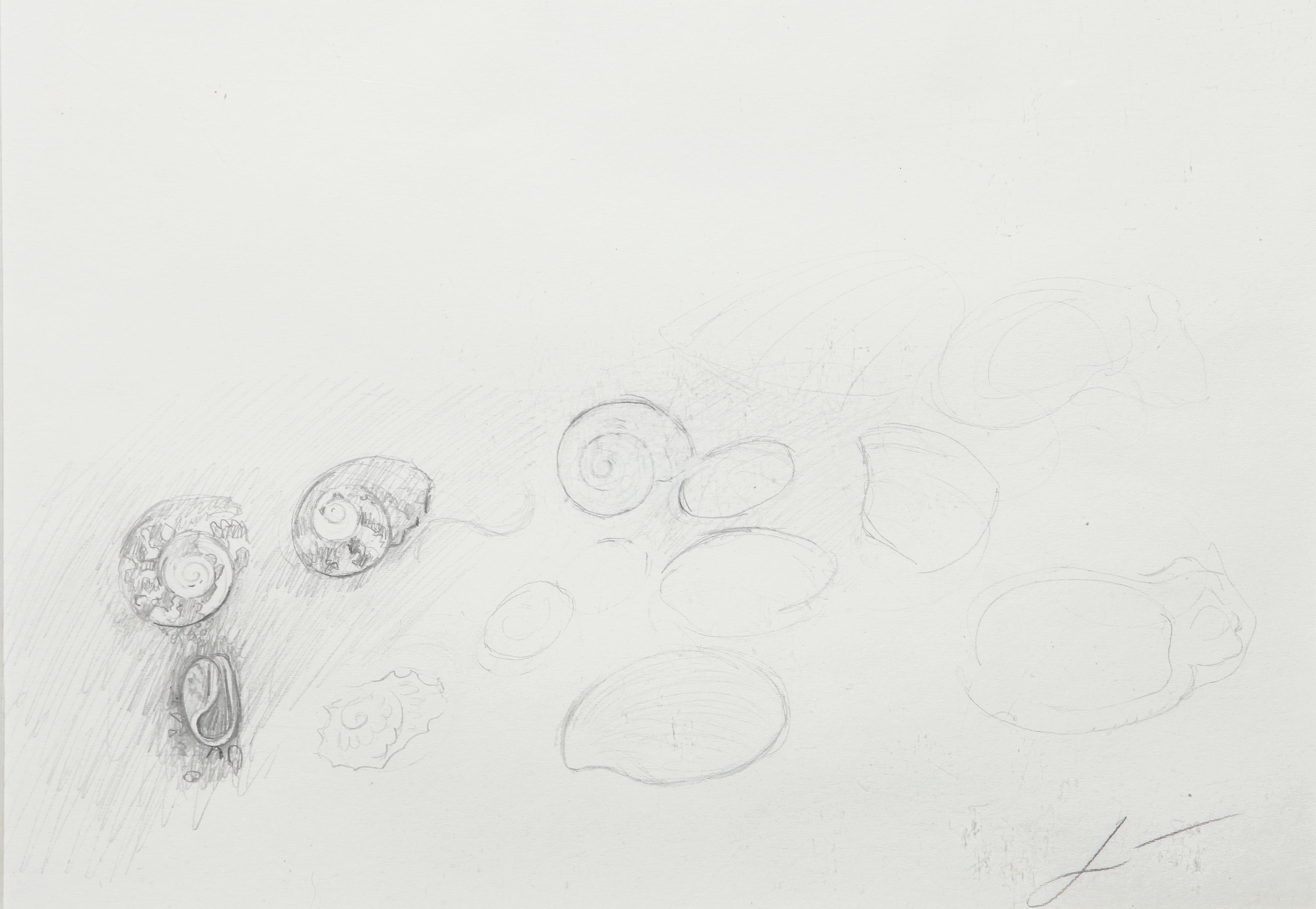 Shells