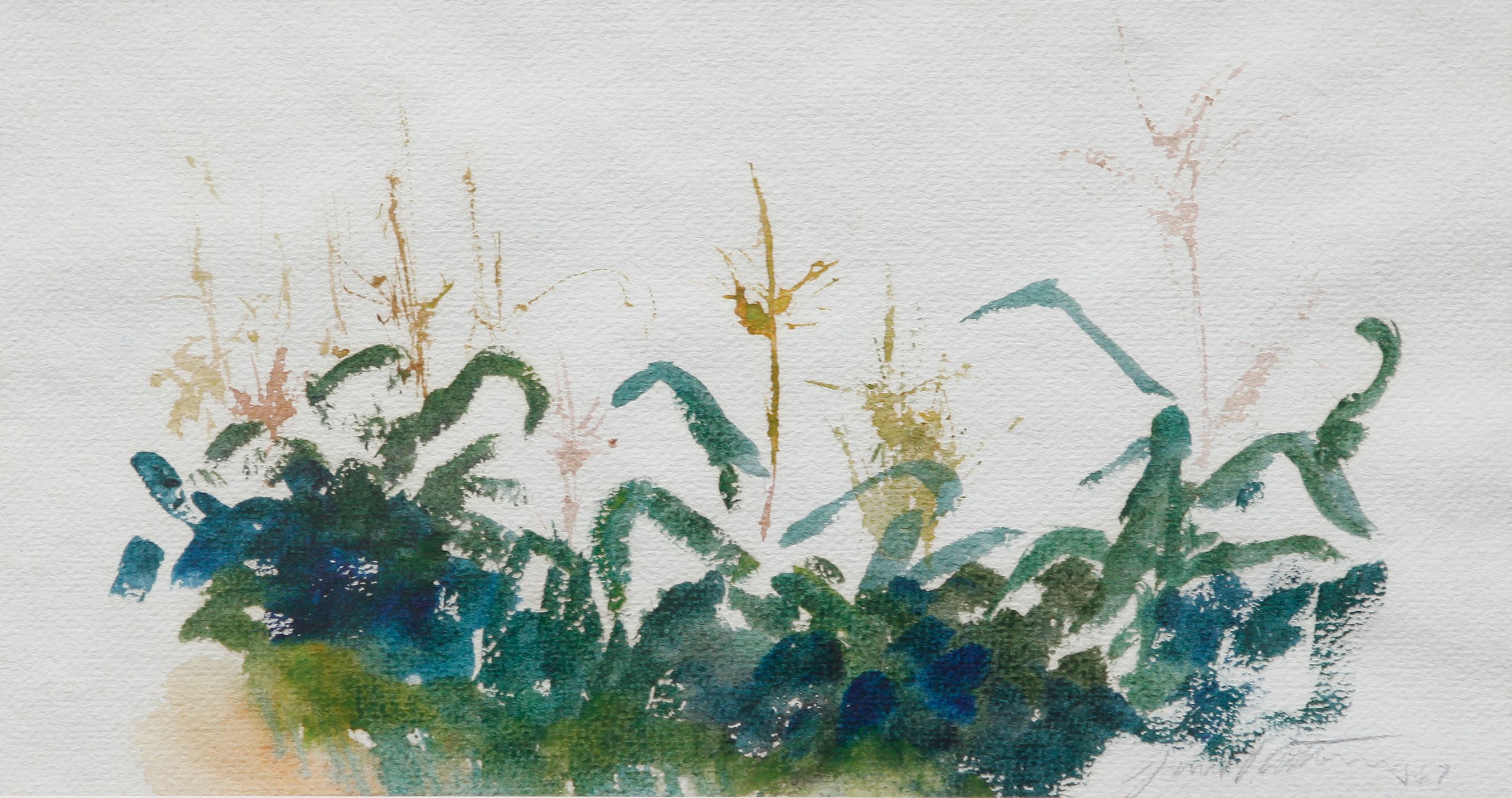 Wildflowers