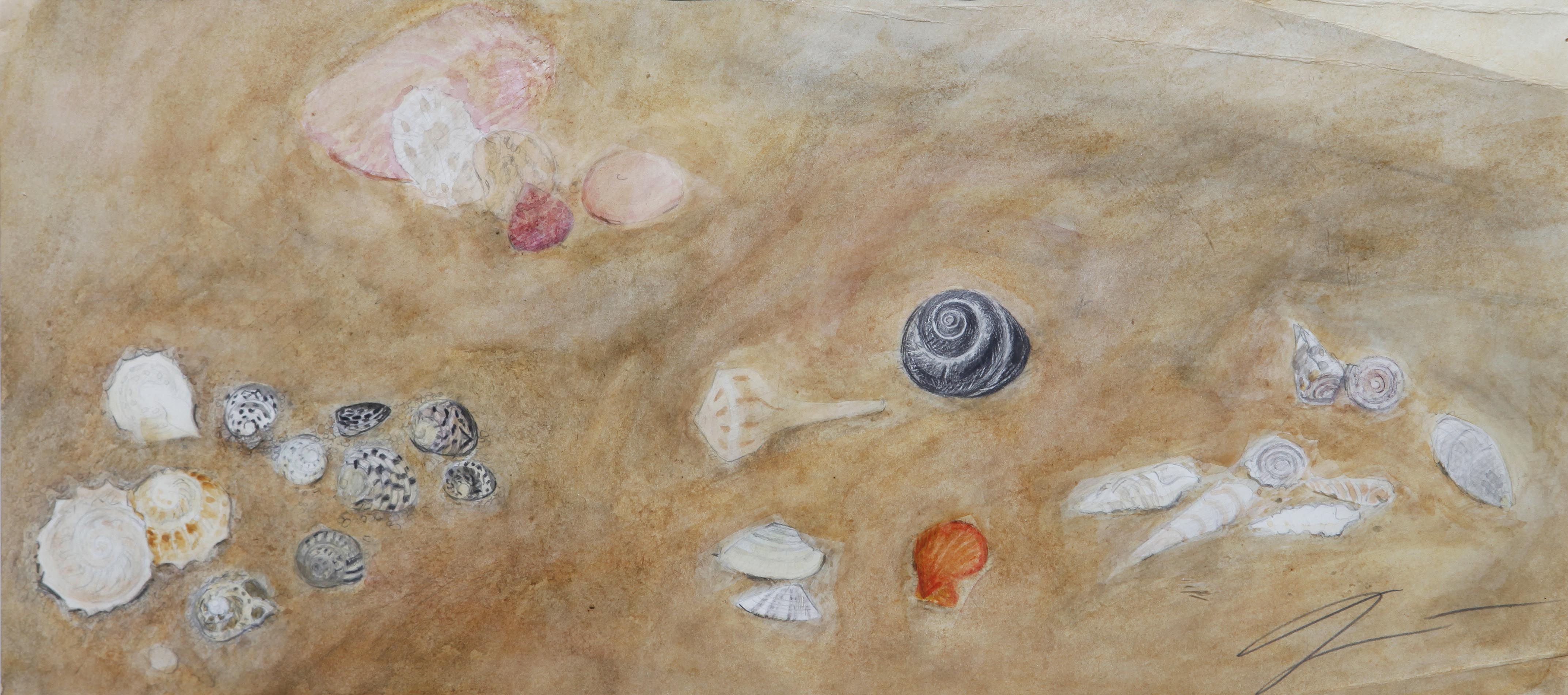 Shells