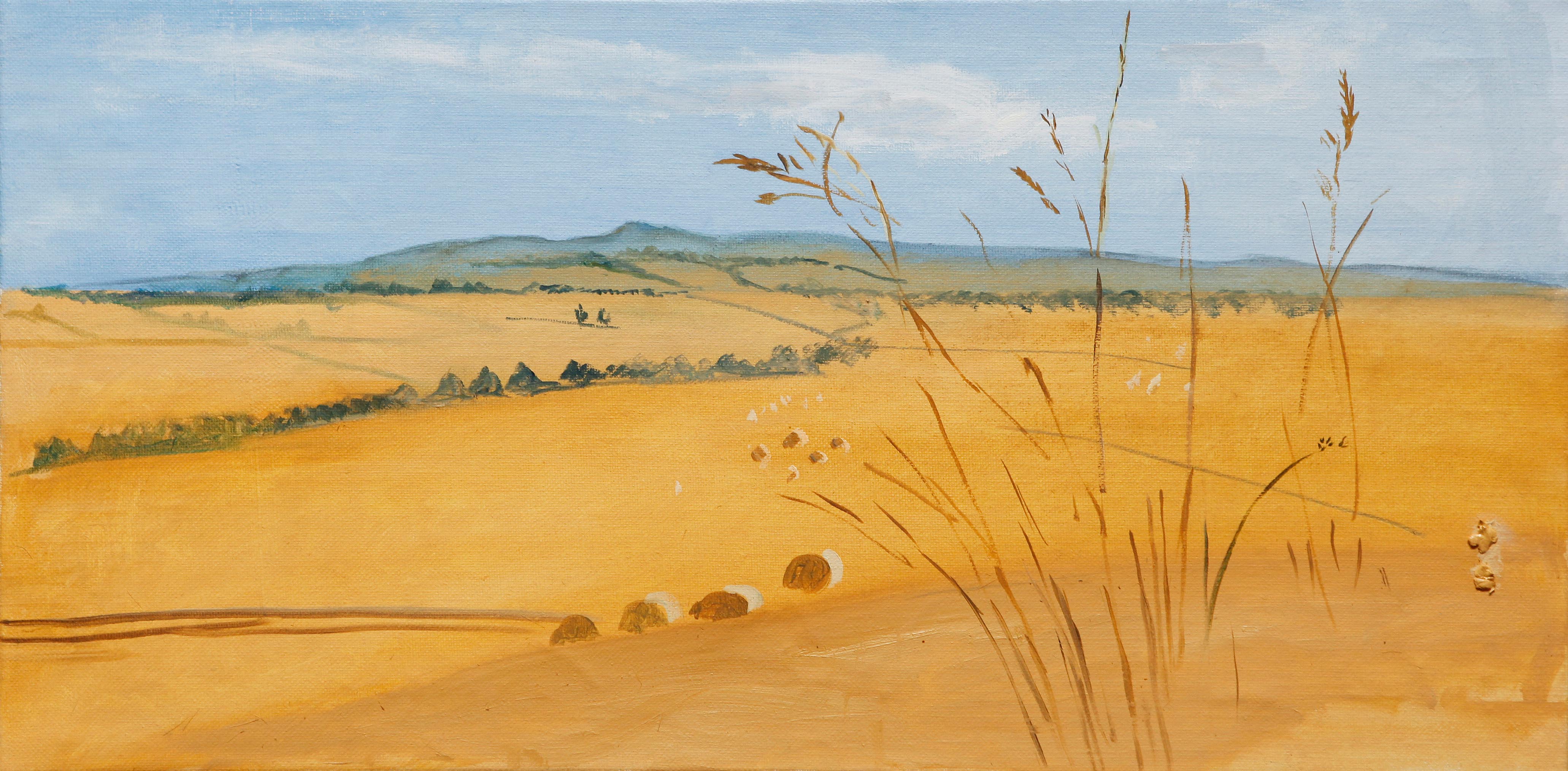 Landscape with Barley at Gannochy