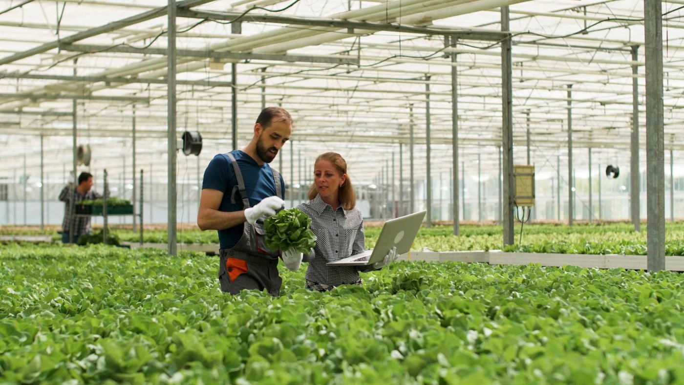 IT Solutions for Agrifood