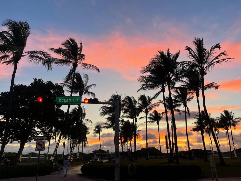 Photo of a sunrise in South Beach, the foreground is dark except for the bright red of traffic lights and a green road sign that reads "Ocean Drive." A brace of palm trees are silhouetted against the pastel oranges and blues of the sky.