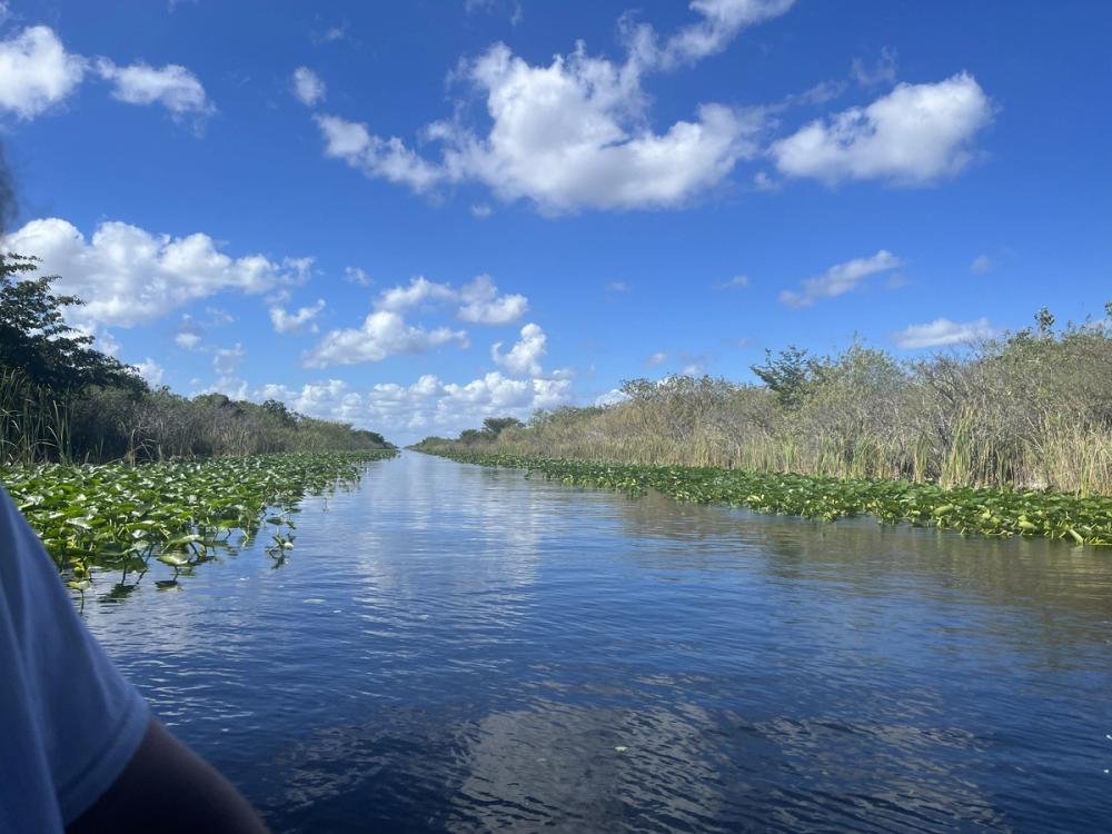A photo taken directly on the water of the Everglades. There are blue skies, with white clouds peppered throughout. The water is a dark blue, and fills the bottom-center of the photo, while either side lush vegetation and brush grows from the swampland