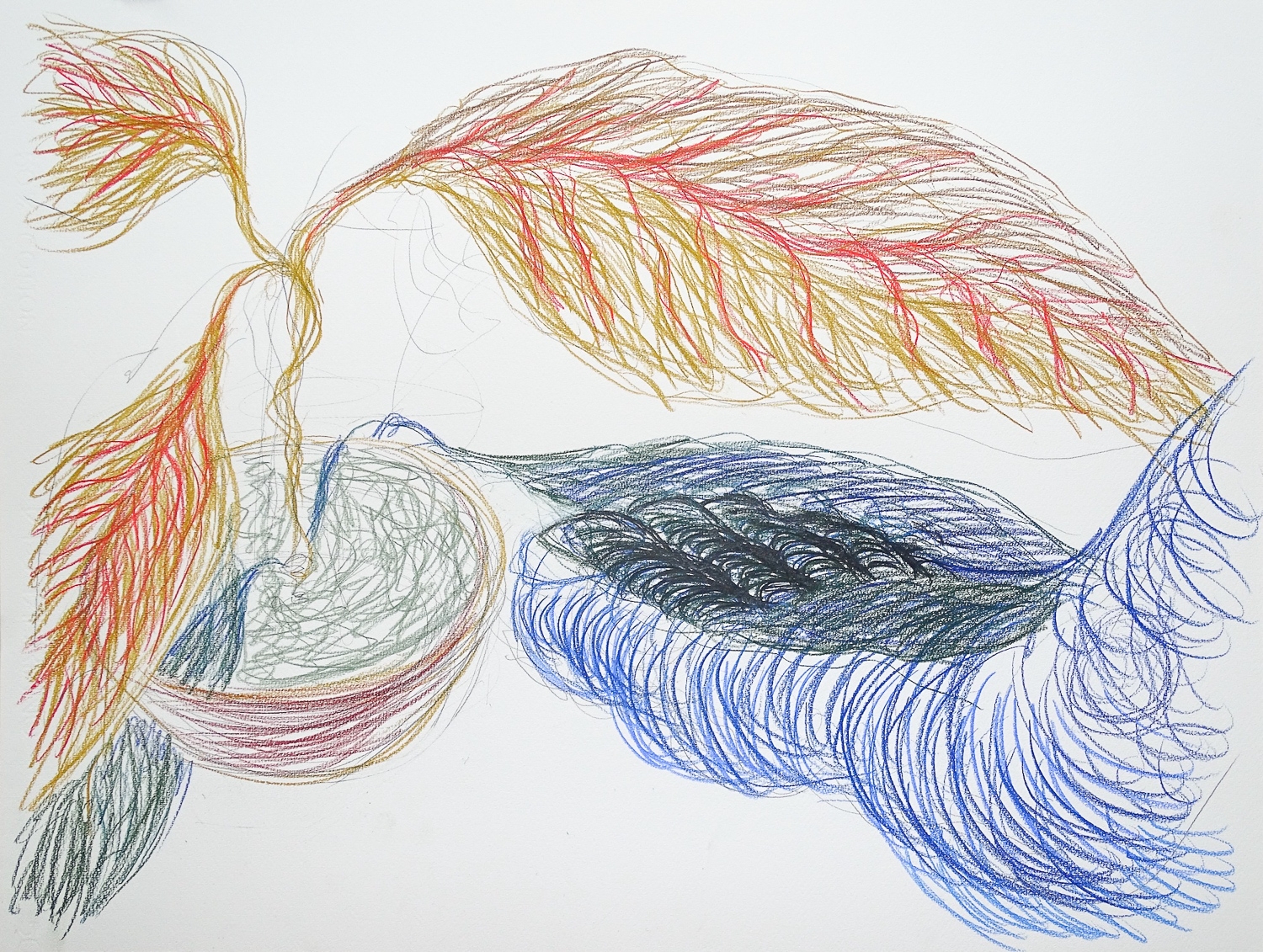 Shadow on Toes | Vleeshal editie 2019 | Pieter Slagboom