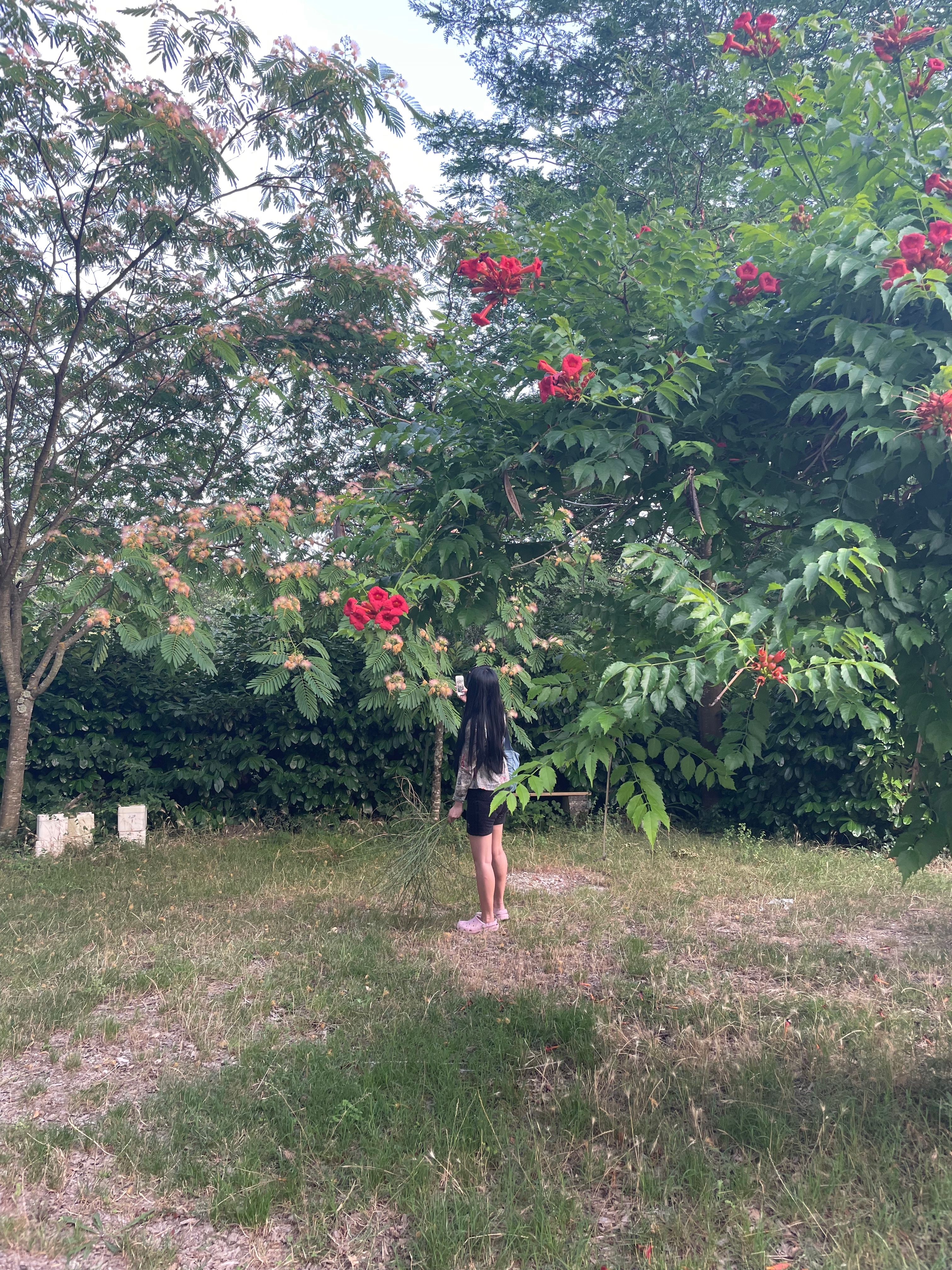 Careful Sounds and Floral Hummings | Han Le Han, Houaïda Goulli