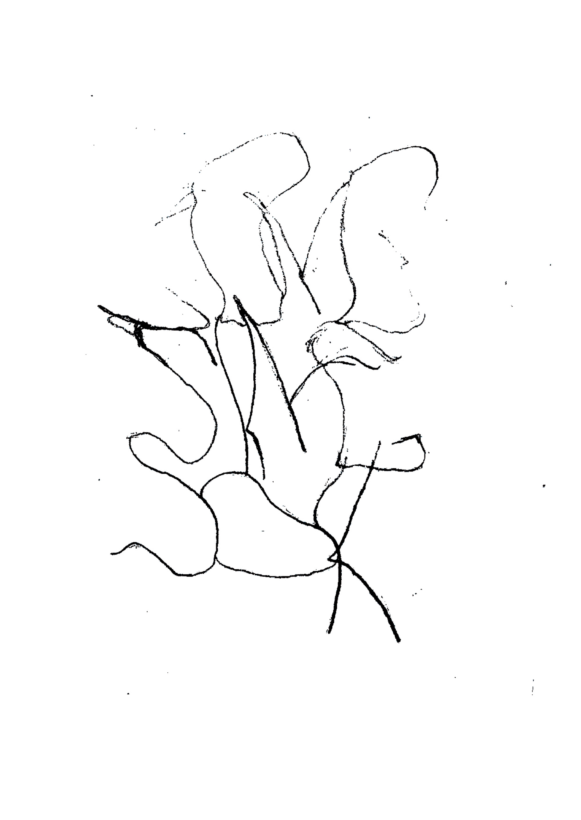 Uitnodiging (voorkant), 105 x 148 mm | Song Sing Soil Identiteit | Philipp Hesselberger