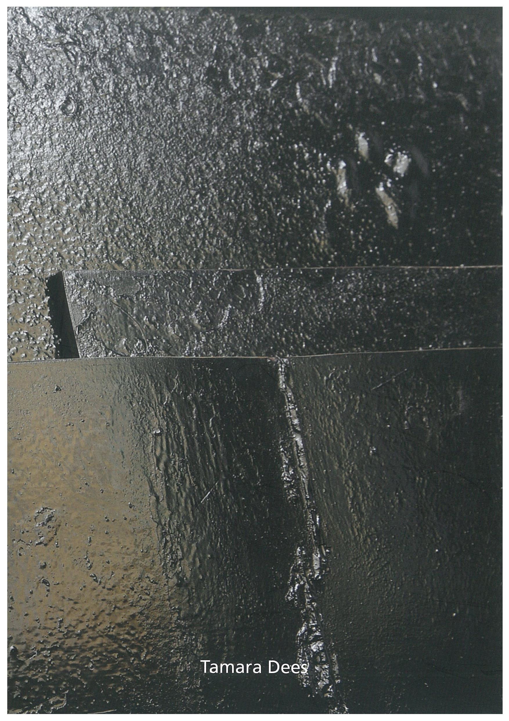 Echoes of Artificial Landscapes | Nicole Bianchet, Tamara  Dees, Kees Wijker