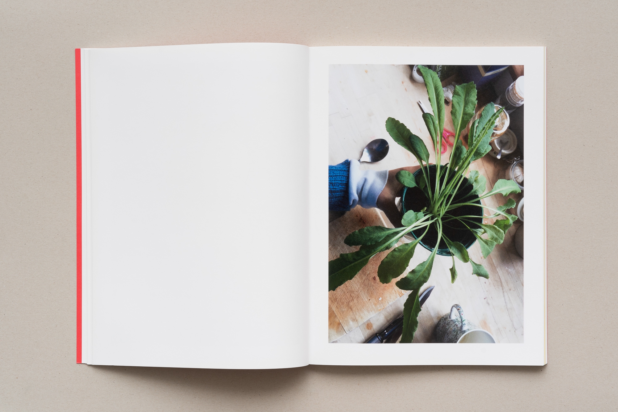 (Ta)Rot Tarot | Juliette Blightman, Dorothy Iannone | Photo: Gunnar Meier