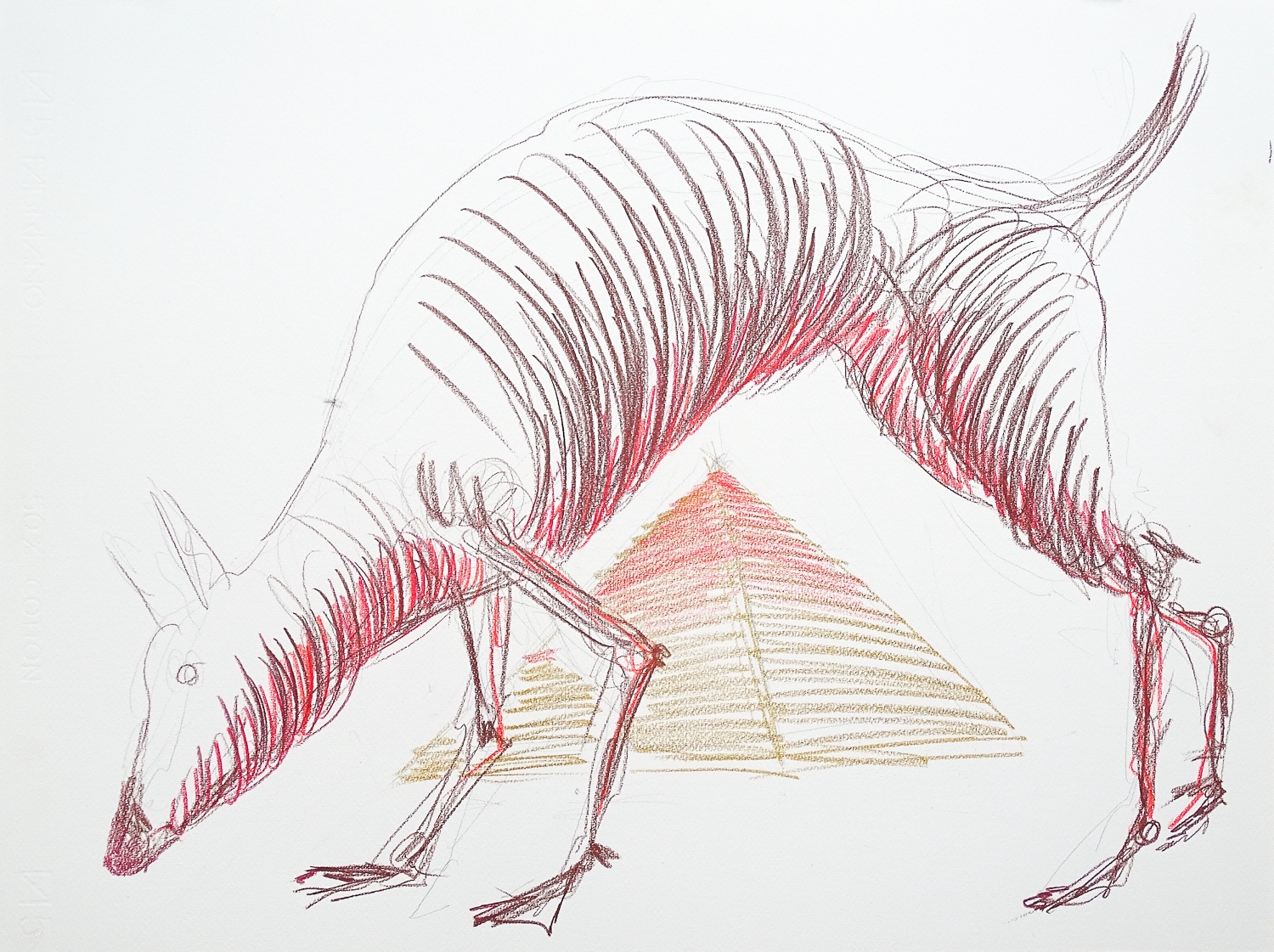 Dog Over Pyramid | Vleeshal editie 2019 | Pieter Slagboom