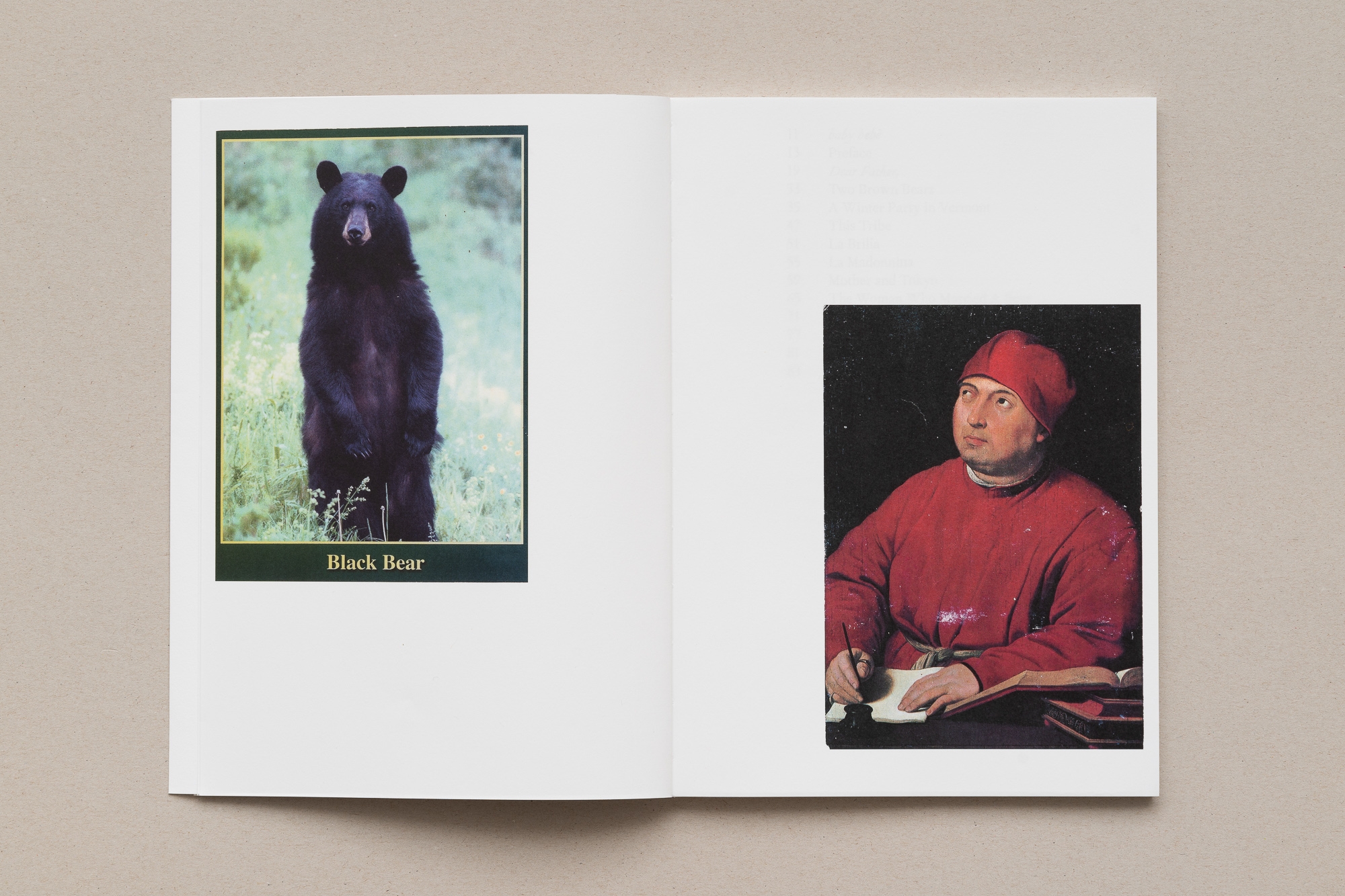 The Bear in the Mirror | Simone Forti | Photo: Gunnar Meier