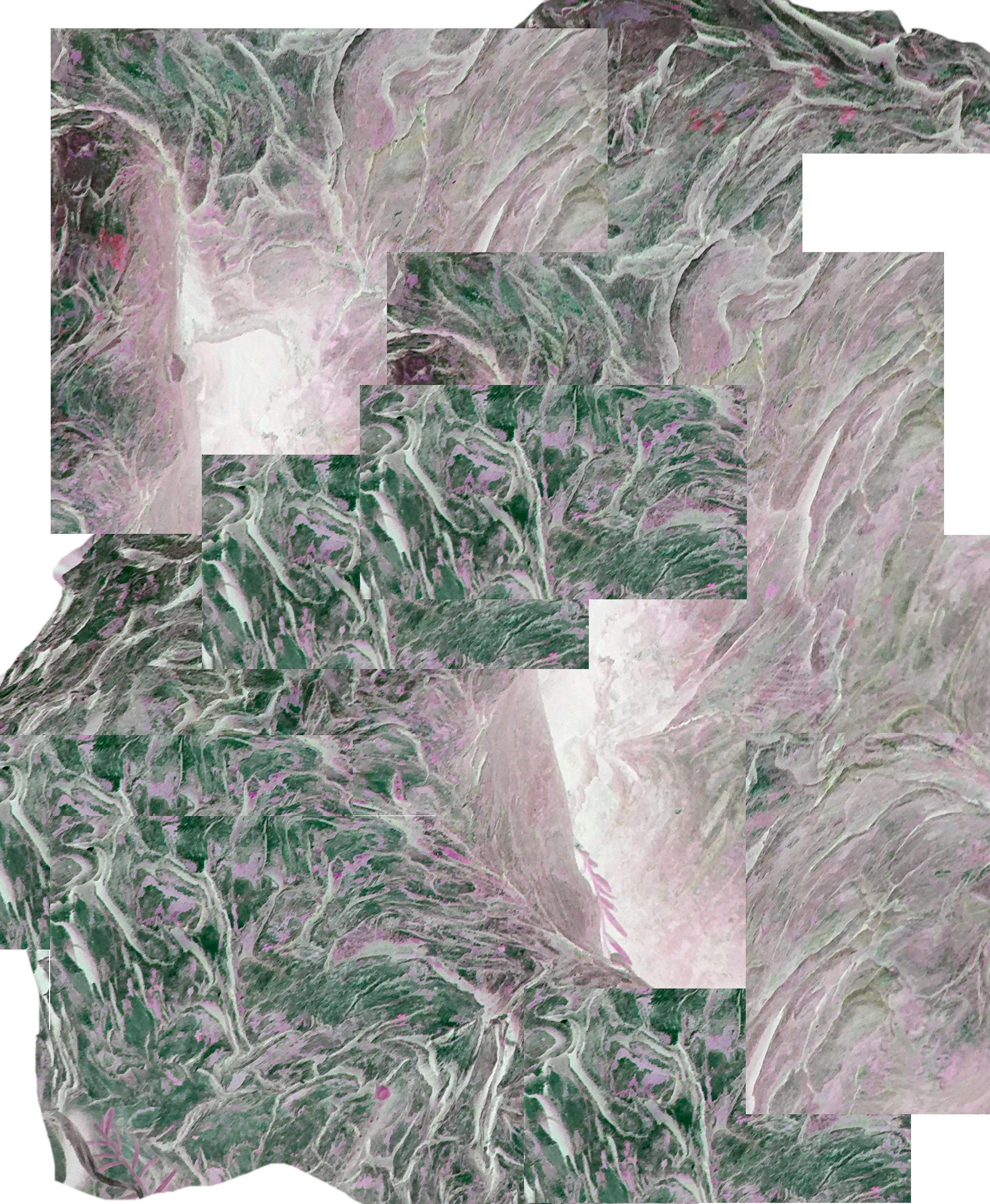 Flyer | Introductie nomadisch programma 2022