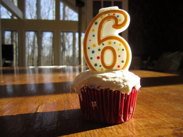 Dogu 6 Year Anniversary