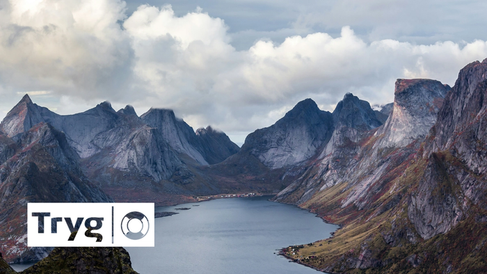 Tryg