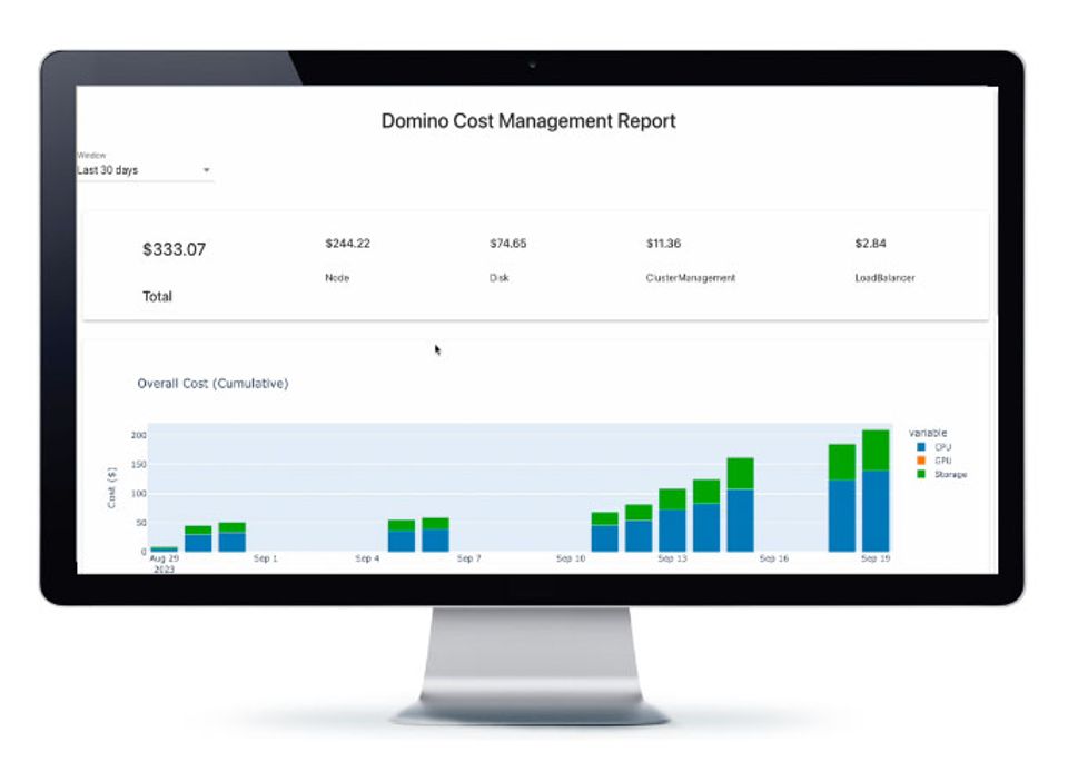 Domino Cost Management report [clean]