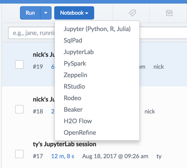 Running Jupyter in Domino