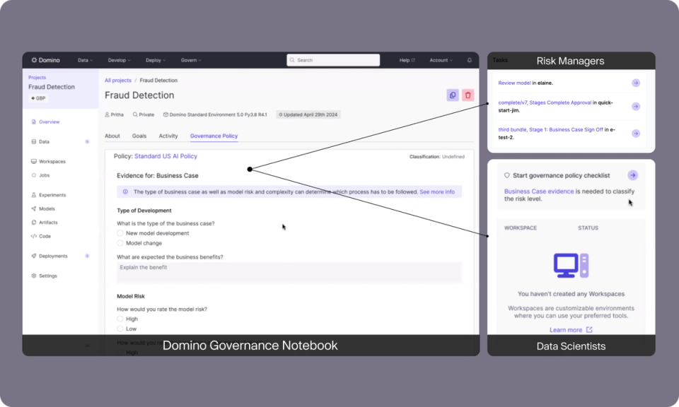 Domino governance notebook