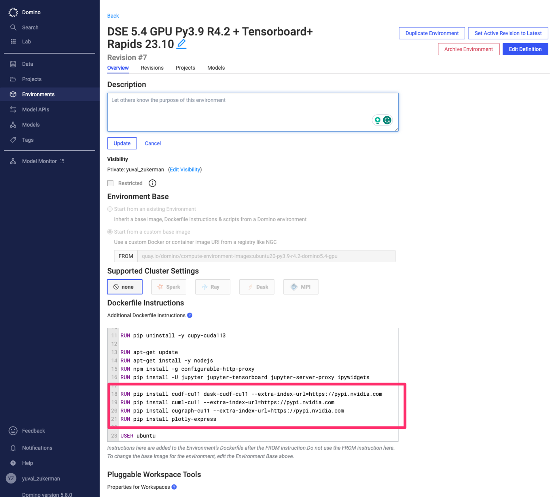 NVIDIA RAPIDS environment setup in Domino