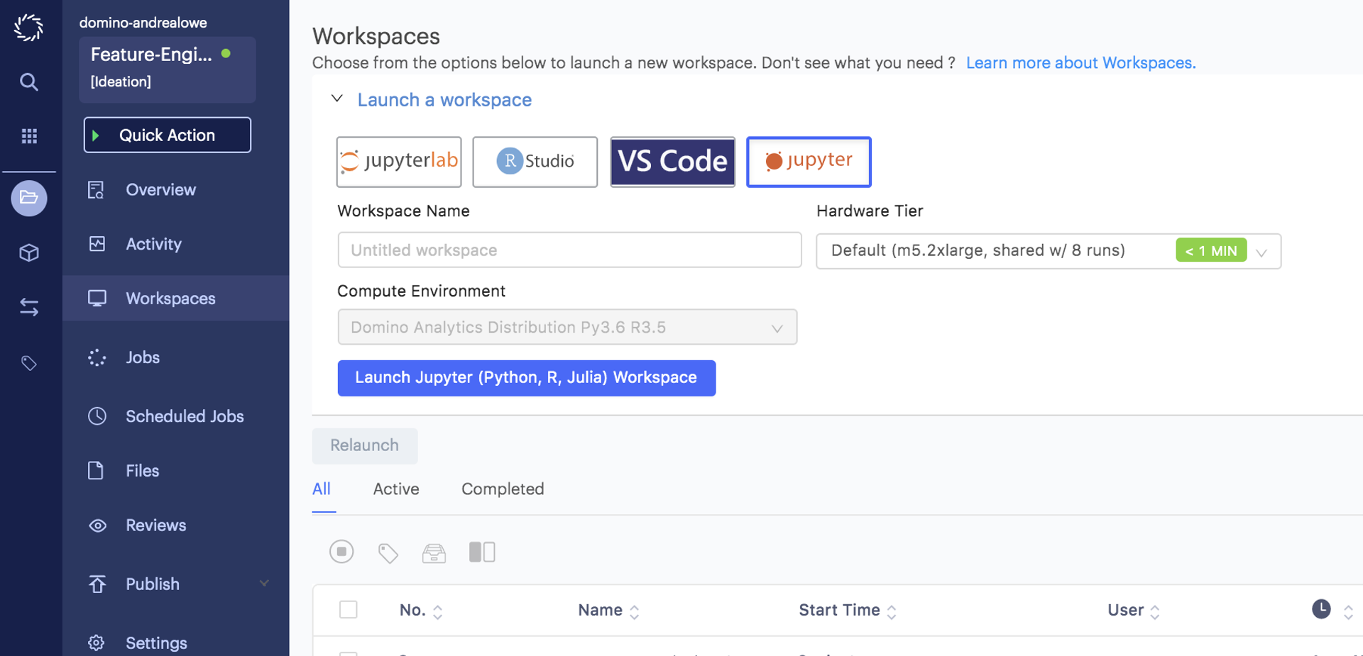 Domino Data Lab Enterprise MLOPs workspace