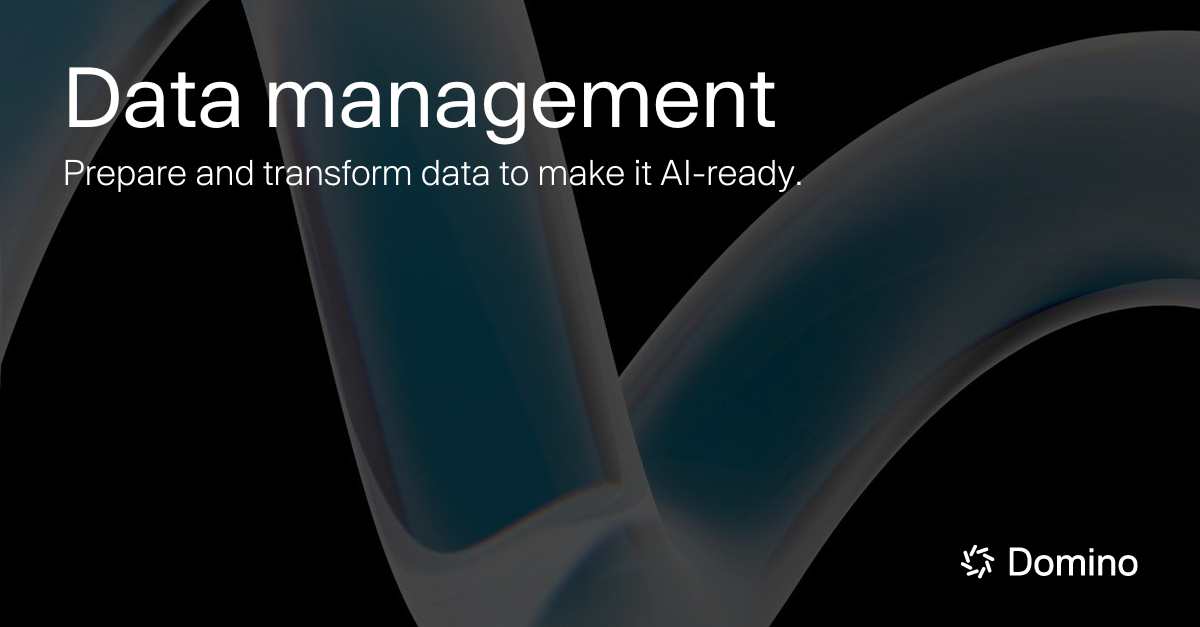 Data Management Platform Domino Data Lab Data Management Platform Domino Data Lab