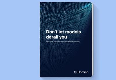 Machine learning model management | Domino Data Lab
