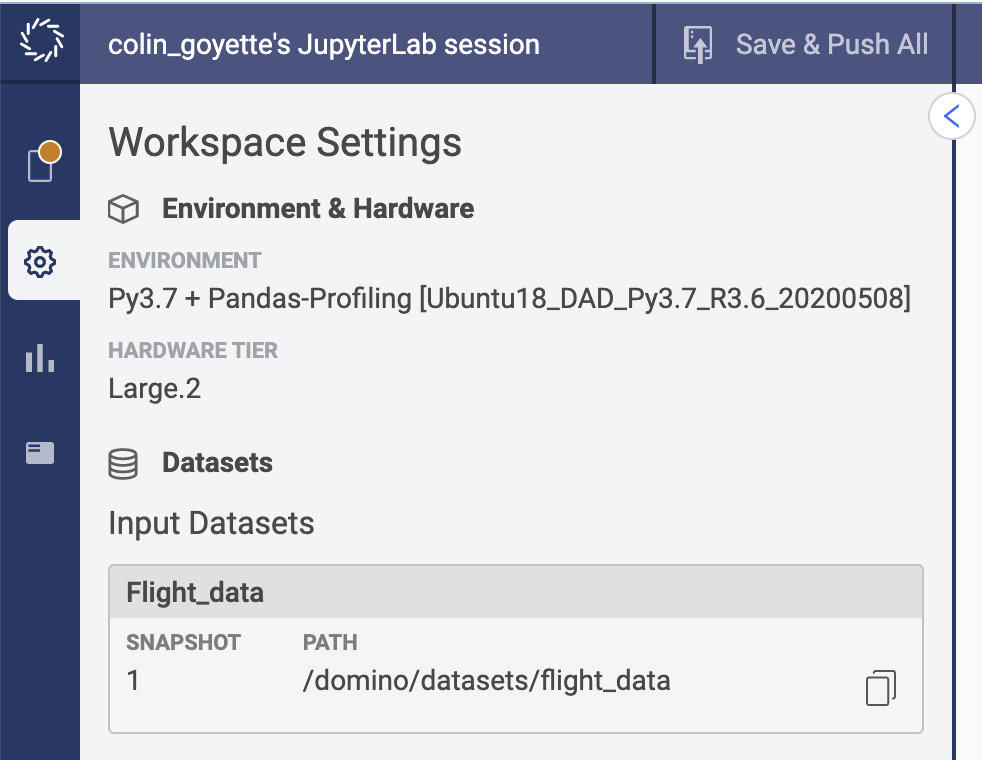 Workspace for Pandas Profiling