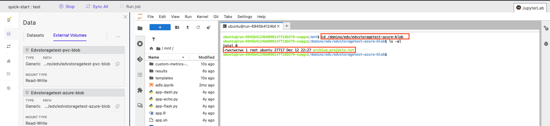 File system mount validation