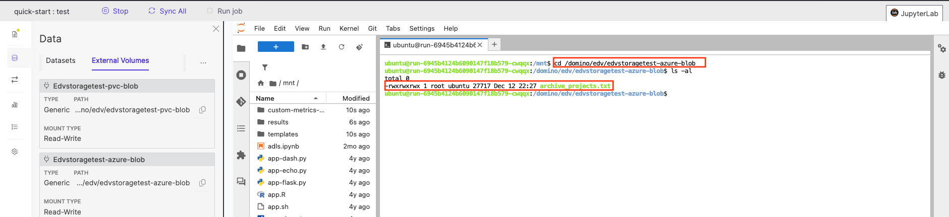 File system mount validation