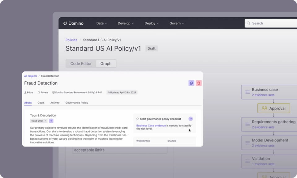 Domino fraud detection