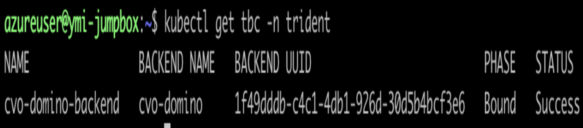 kubectl output showing cvo-domino-backend in Phase: Bound, Status: Success