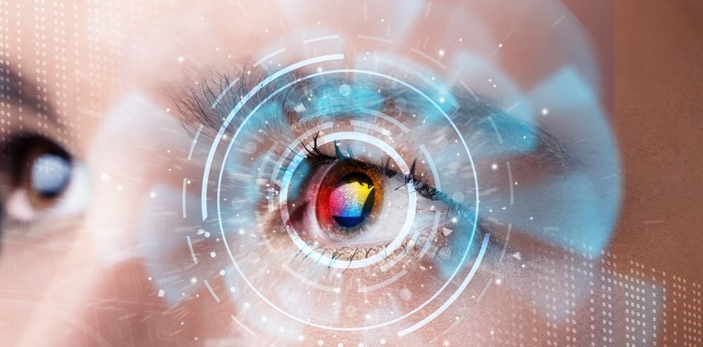 Computer Vision in Deep Learning | Domino Data Science Blog