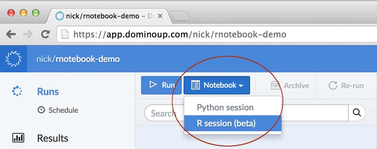 R session notebook in Domino