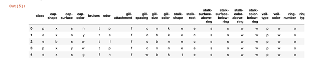 First 5 rows of mushroom data in DataFrame