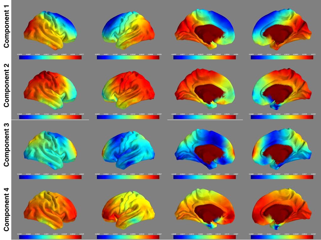 Concatenation of 900 subjects for PCA computation