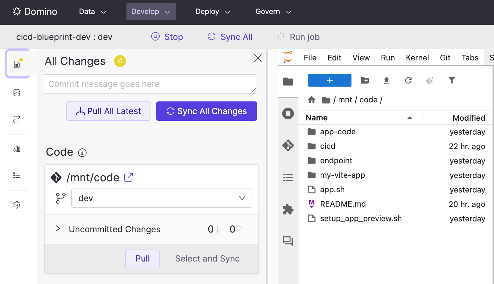Domino development workspace