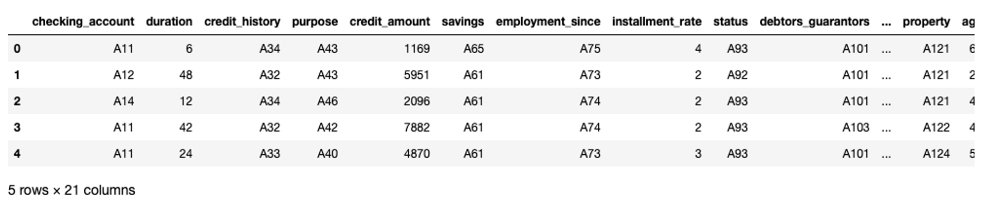 first 5 rows from the german.data dataset