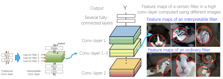 nterpretable convolutional neural networks (CNN) diagram