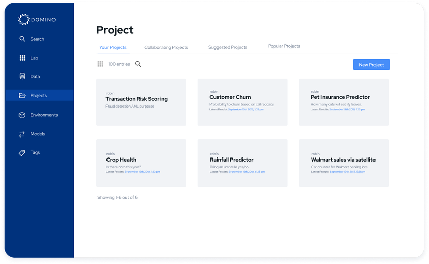 Model Risk Management Domino Data Lab